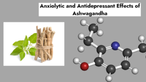 Anxiolytic and Antidepressant Effects of Ashwagandha