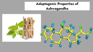 Adaptogenic properties of ashwagandha 