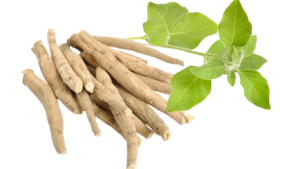 Ashwagandha extract