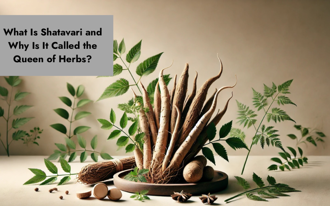 What Is Shatavari and Why Is It Called the Queen of Herbs?